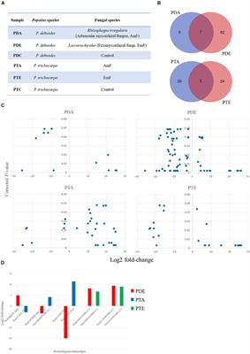 Identification of Populus Small RNAs Responsive to Mutualistic Interactions With Mycorrhizal Fungi, Laccaria bicolor and Rhizophagus irregularis